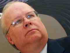 a tea party response to karl rove's appearance on 'hannity'